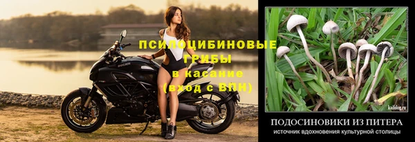 дживик Алзамай