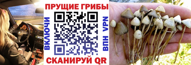 Псилоцибиновые грибы MAGIC MUSHROOMS  ссылка на мегу как зайти  Ува 